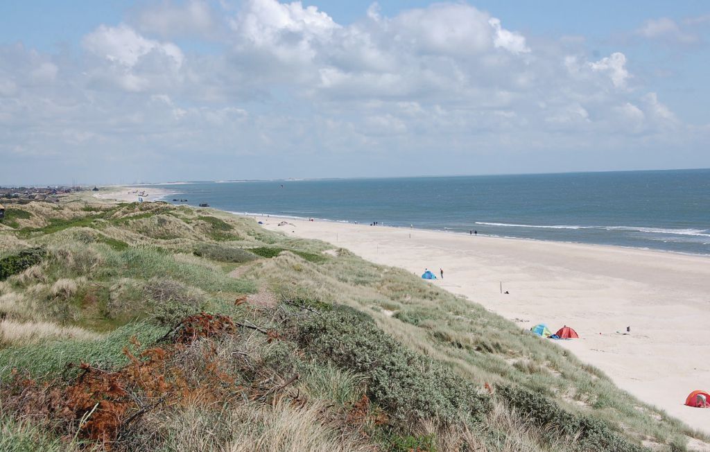 Semesterhus - Blåvand , Danmark - P32421 39