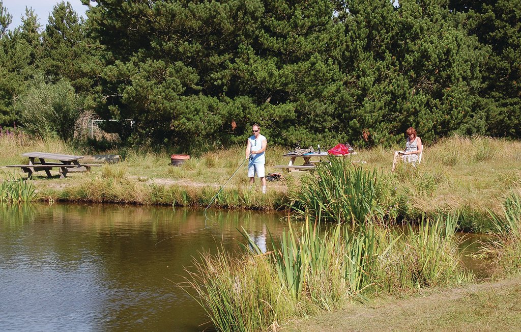 Feriehuse - Ho , Danmark - P32439 37