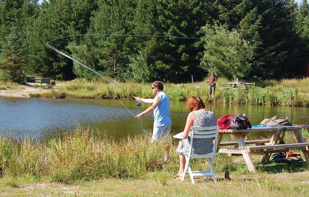 Feriehuse - Ho , Danmark - P32497 23
