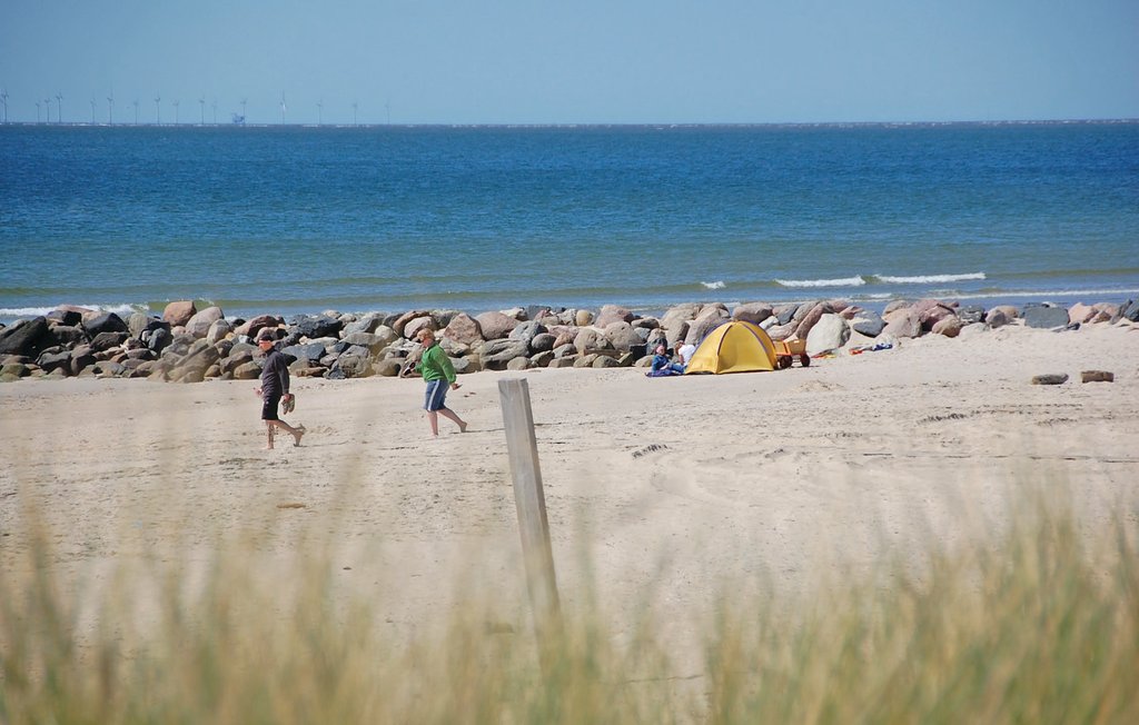 Feriehuse - Blåvand , Danmark - P32703 21