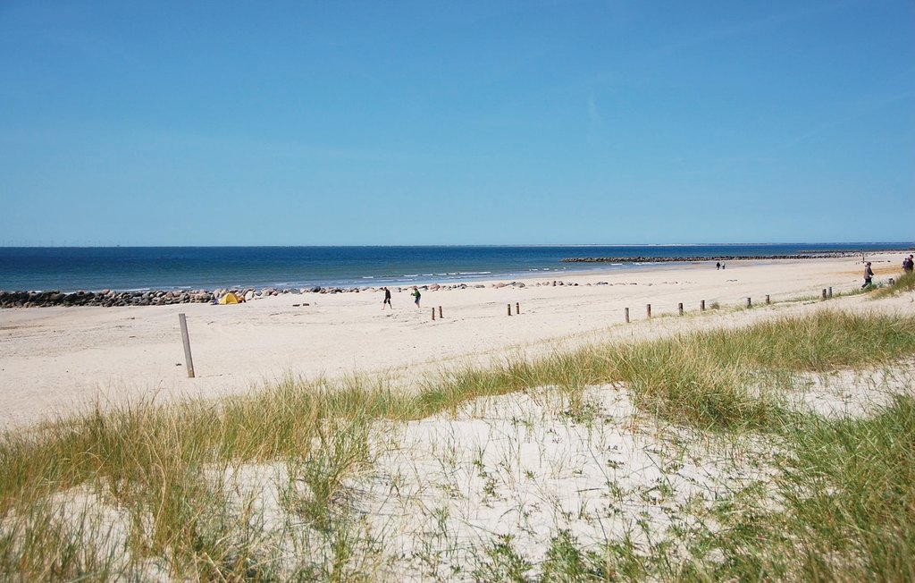 Feriehuse - Blåvand , Danmark - P32703 22