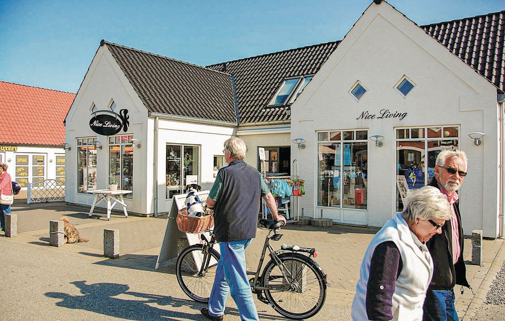 Ferienhaus - Blåvand , Dänemark - P32199 37