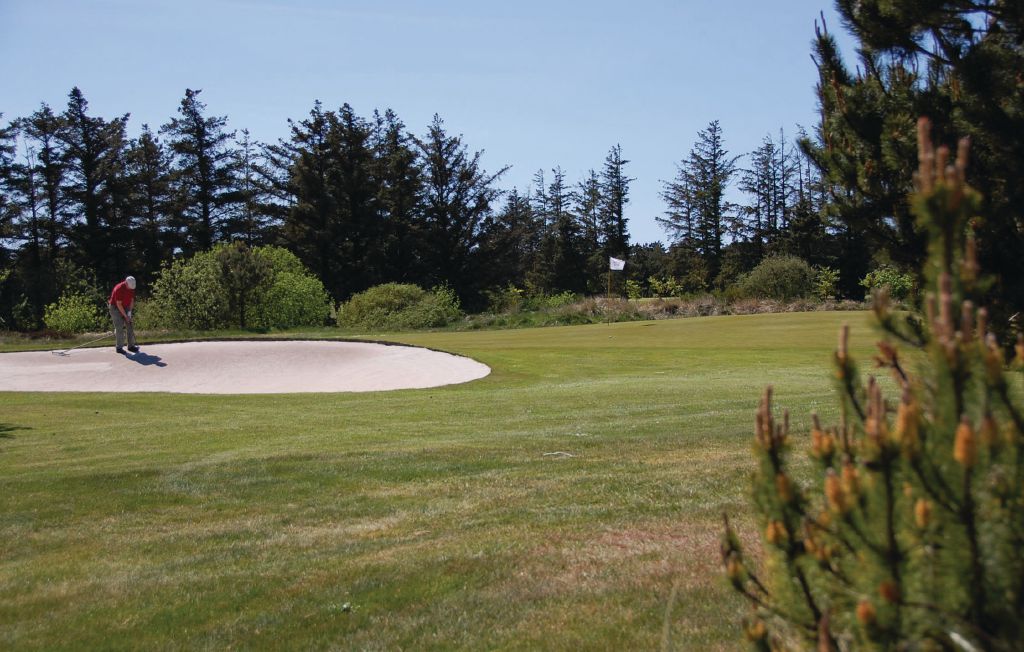 Semesterhus - Blåvand , Danmark - P32421 43