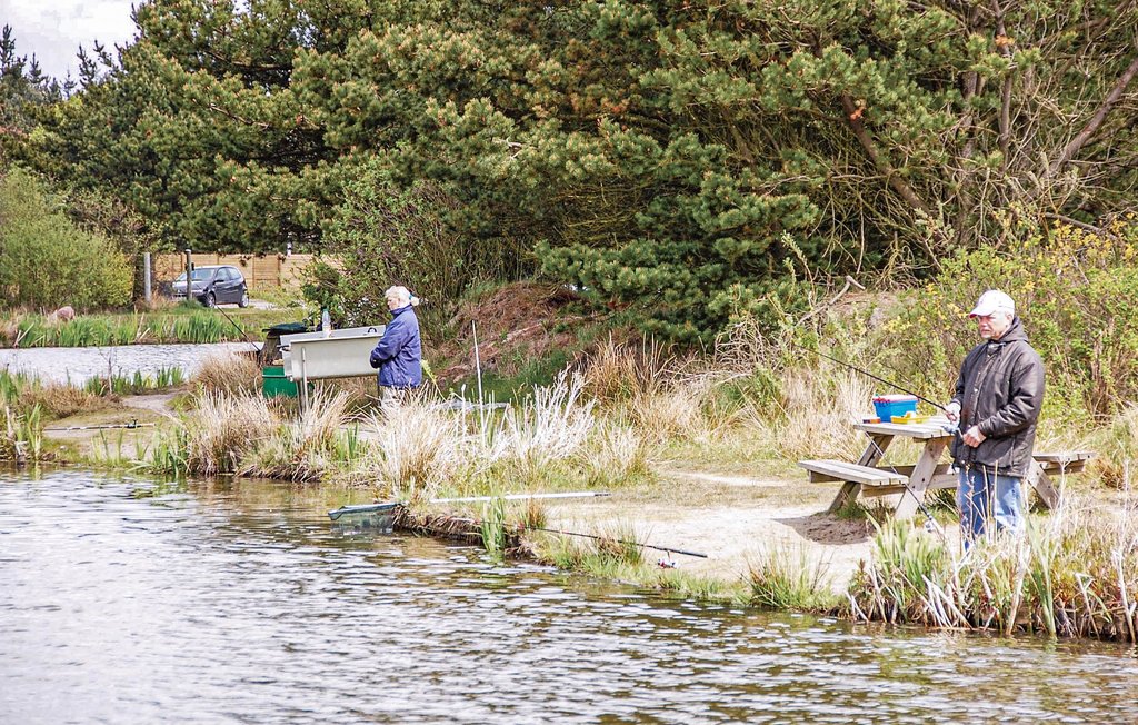 Ferienhaus - Ho , Dänemark - P32538 31