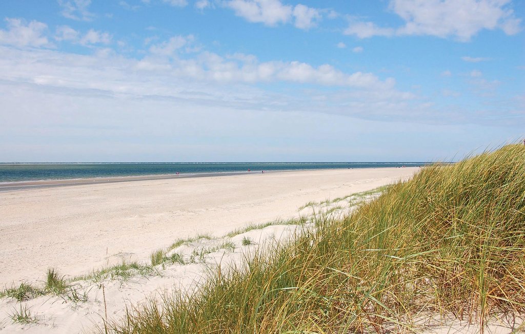 Ferienhaus - Blåvand , Dänemark - P32512 33