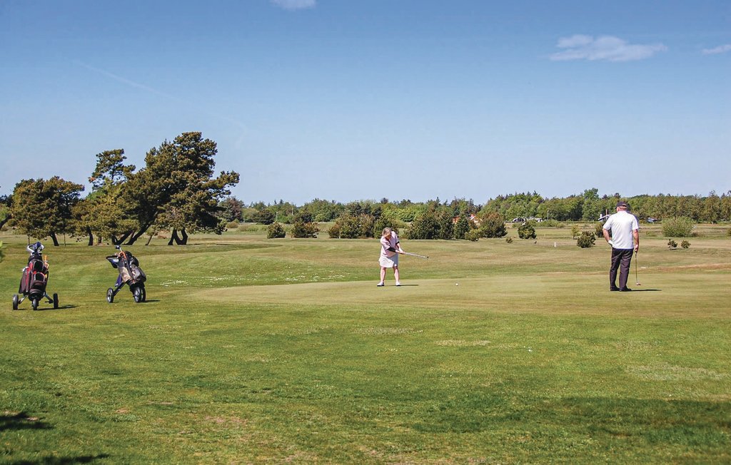 Semesterhus - Ho , Danmark - P32557 28