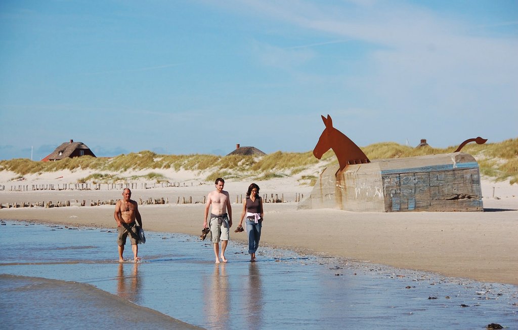 Feriehus - Blåvand , Danmark - P32563 27