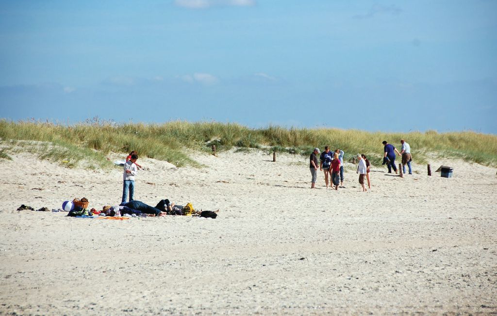 Semesterhus - Blåvand , Danmark - P32421 40