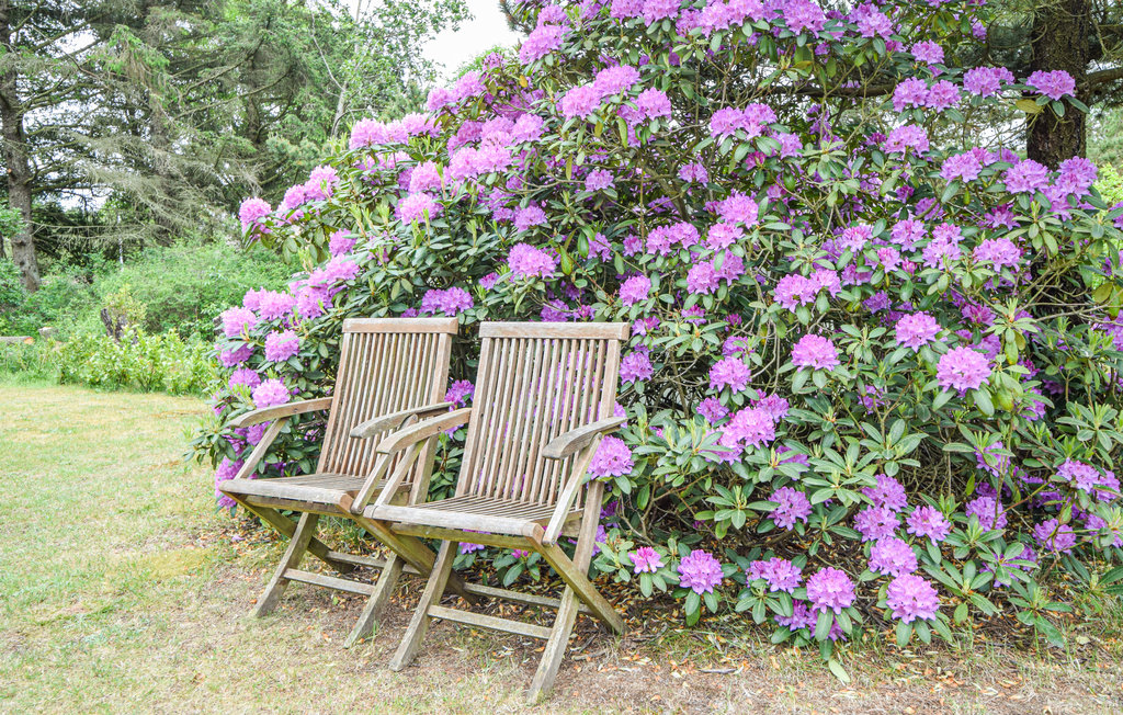 Ferienhaus - Ho , Dänemark - P32944 16