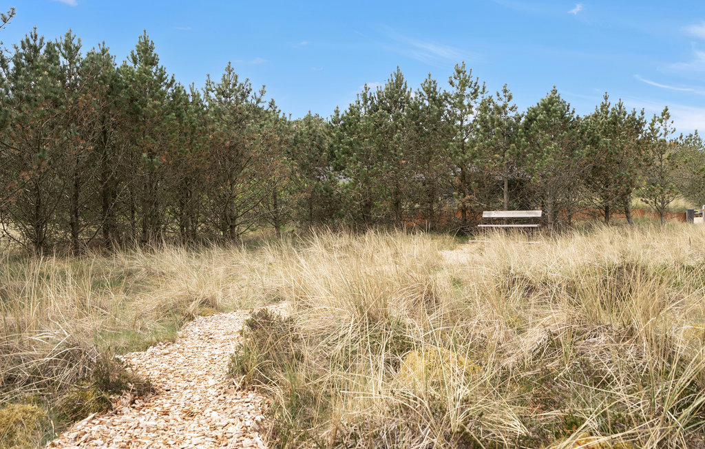 Semesterhus - Blåvand , Danmark - P32984 14