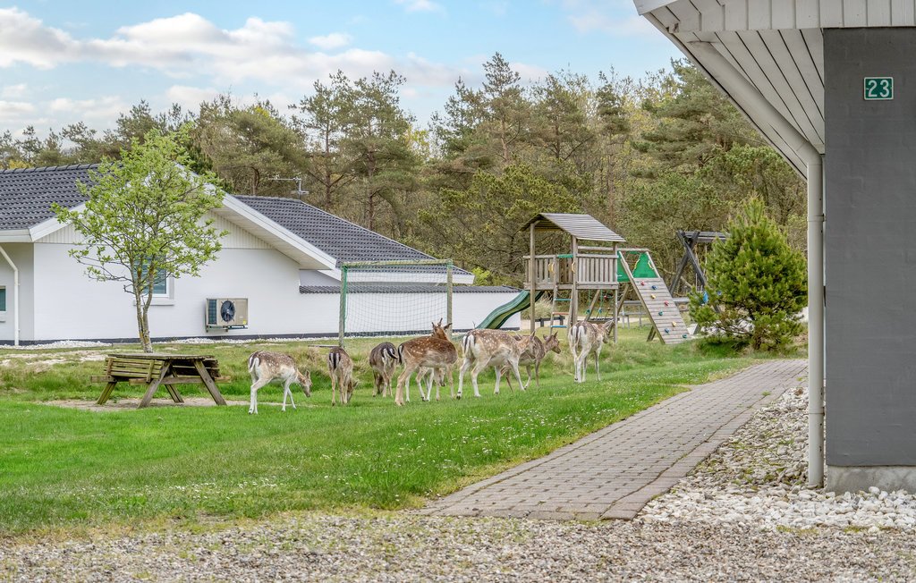 Feriehuse - Blåvand , Danmark - P32981 14