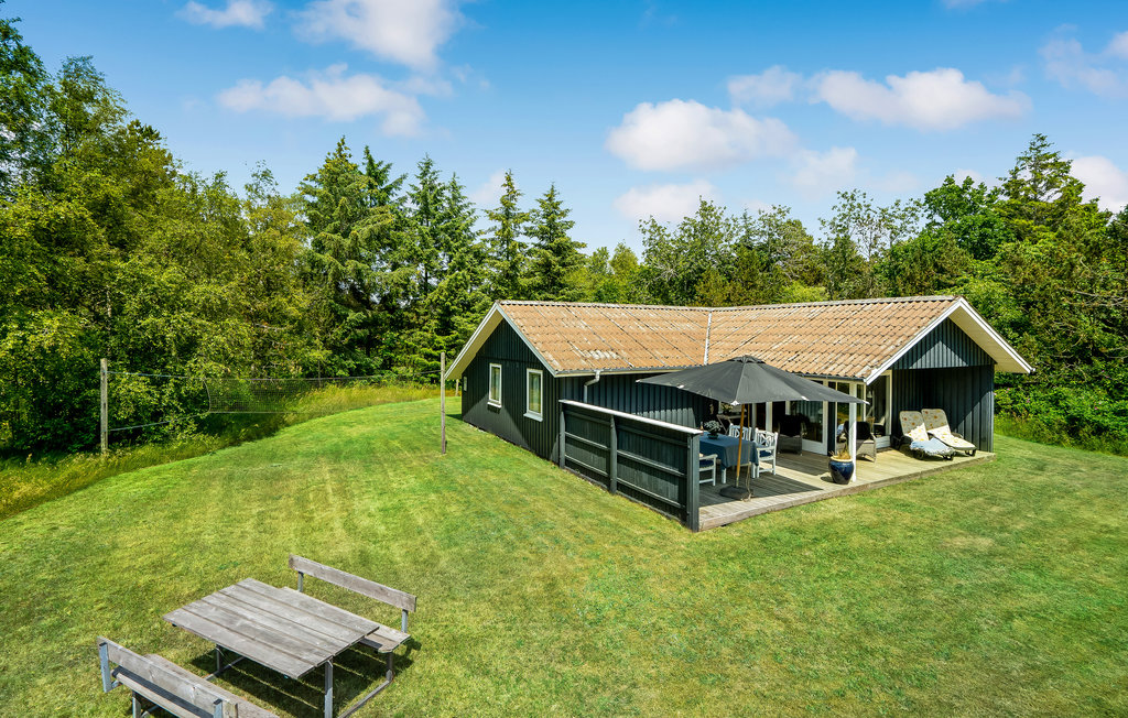 Semesterhus - Ho , Danmark - P32557 10