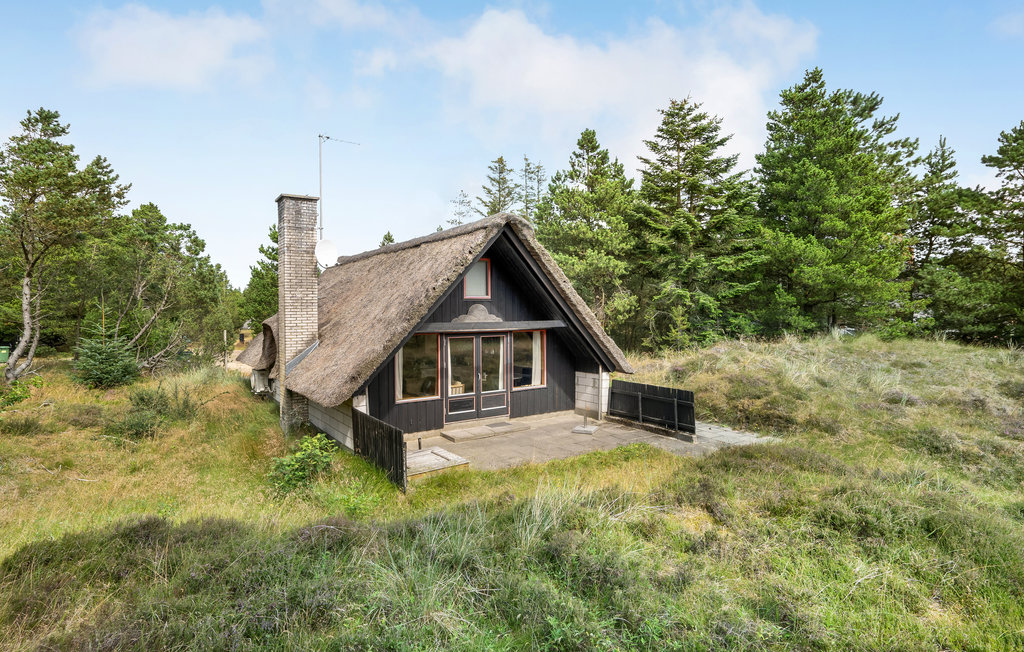 Ferienhaus - Blåvand , Dänemark - P32925 8