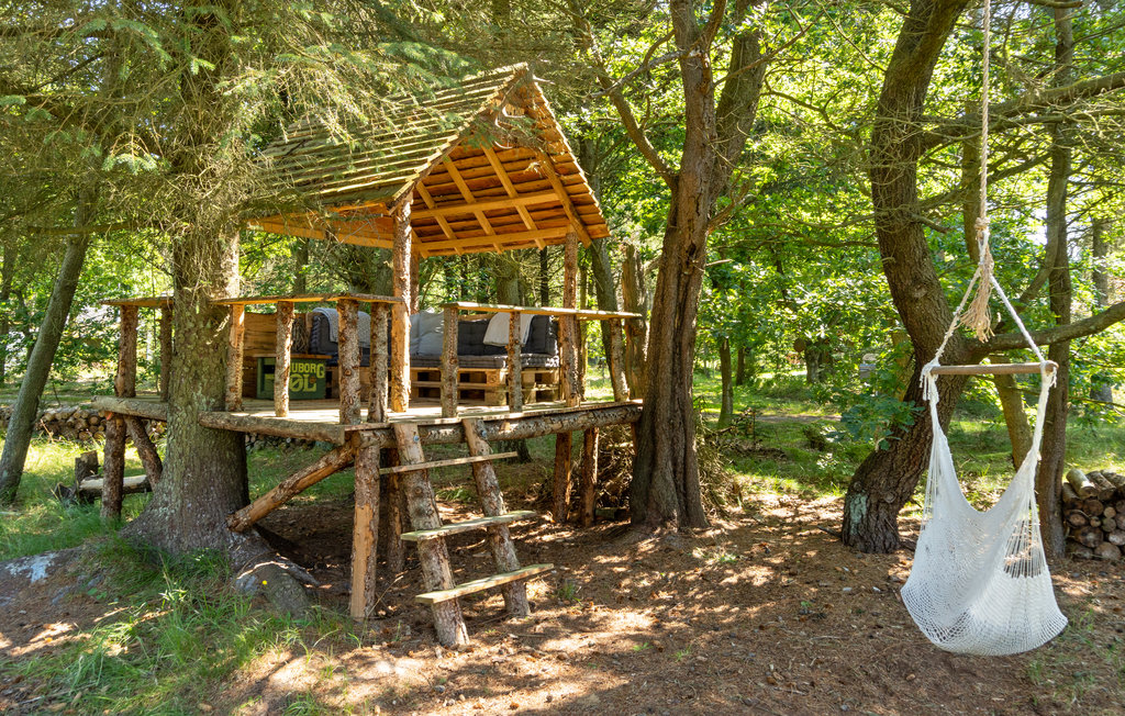 Semesterhus - Mosevrå , Danmark - P32976 17