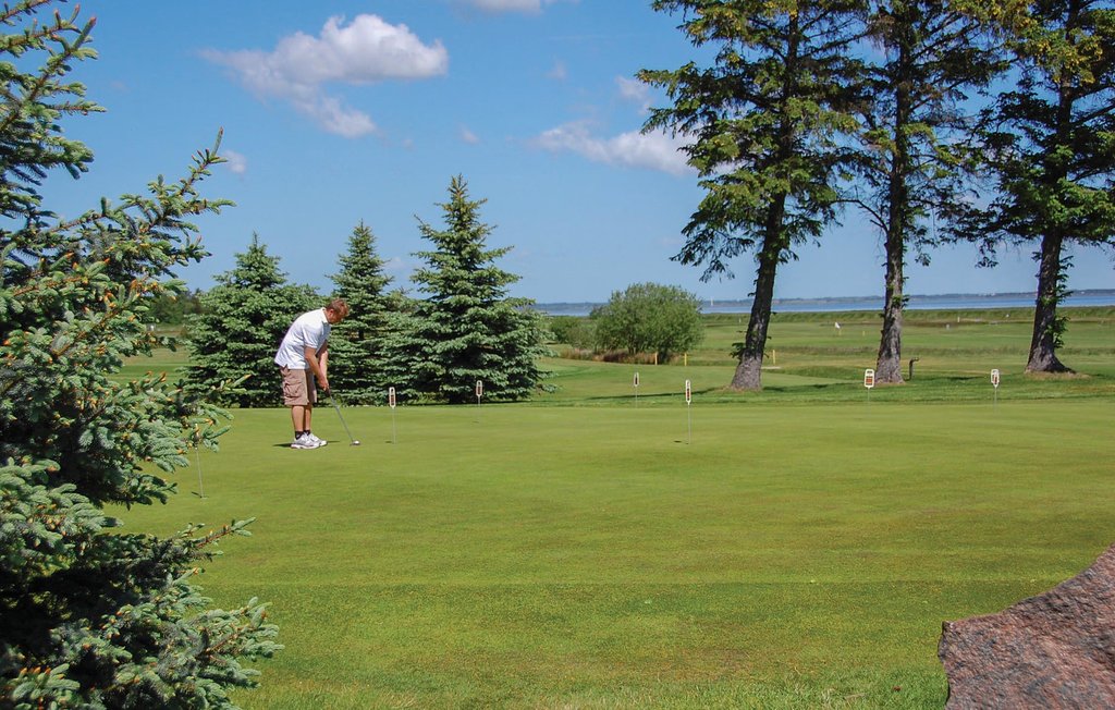 Ferienhaus - Blåvand , Dänemark - P32646 32