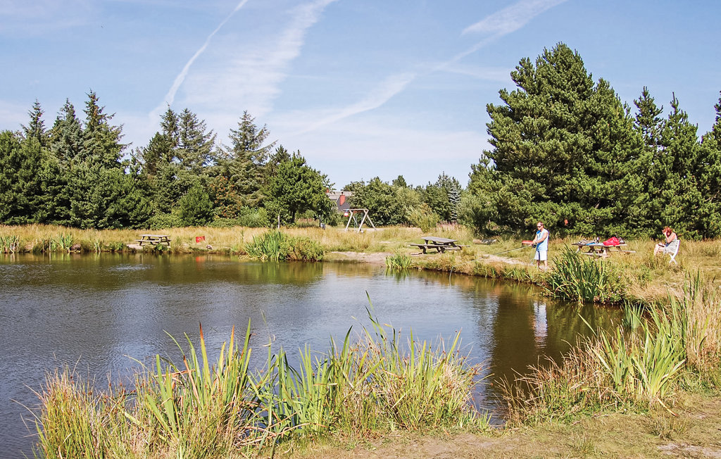Ferienhaus - Ho , Dänemark - P32464 37