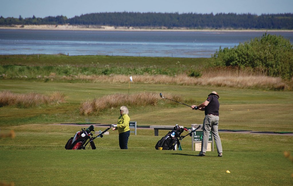 Feriehuse - Blåvand , Danmark - P32471 31