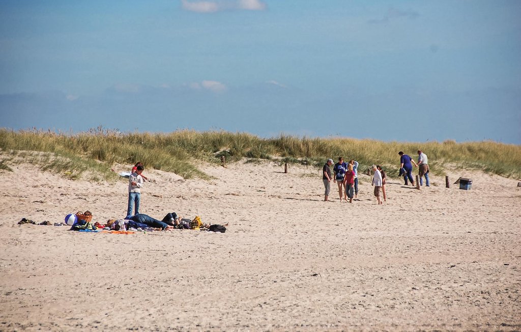Feriehus - Blåvand , Danmark - P32520 28