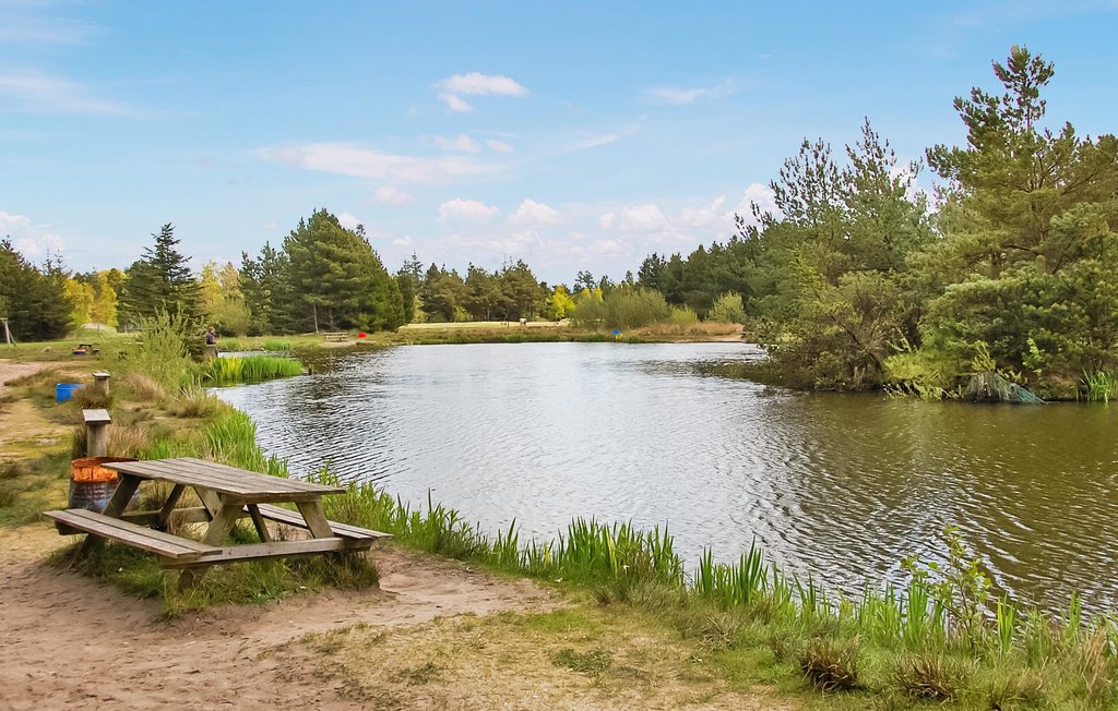 Ferienhaus - Blåvand , Dänemark - P32289 26