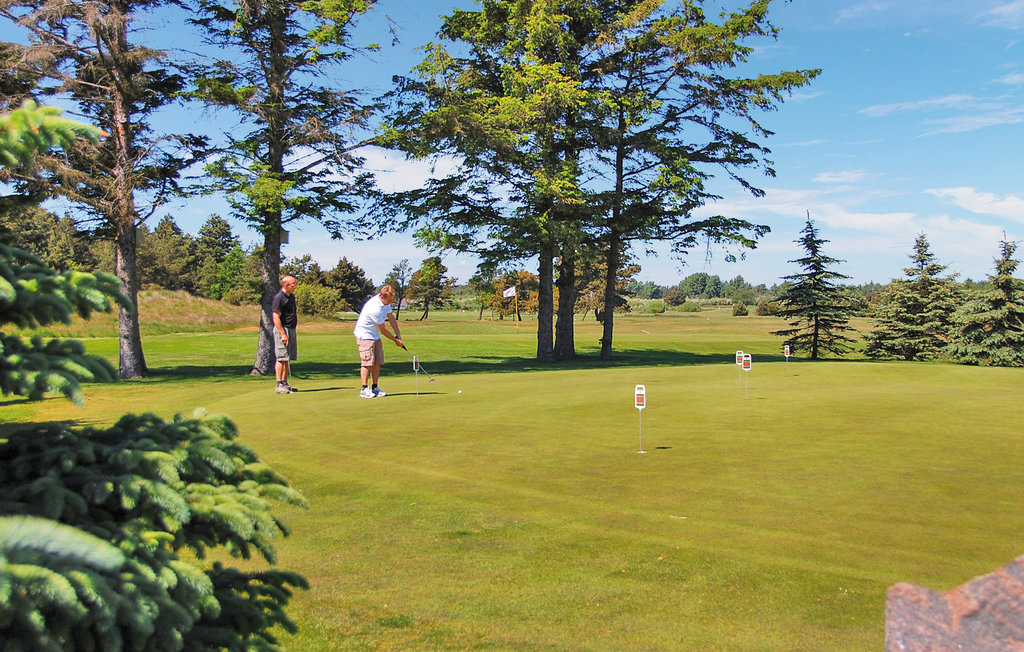 Ferienhaus - Blåvand , Dänemark - P32289 28