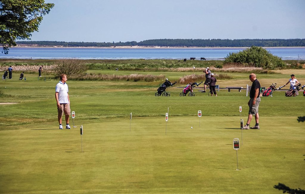Feriehus - Blåvand , Danmark - P32520 31