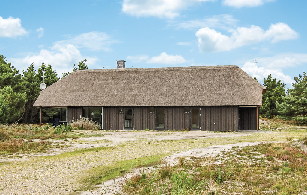 Ferienhaus - Blåvand , Dänemark - P32461 9