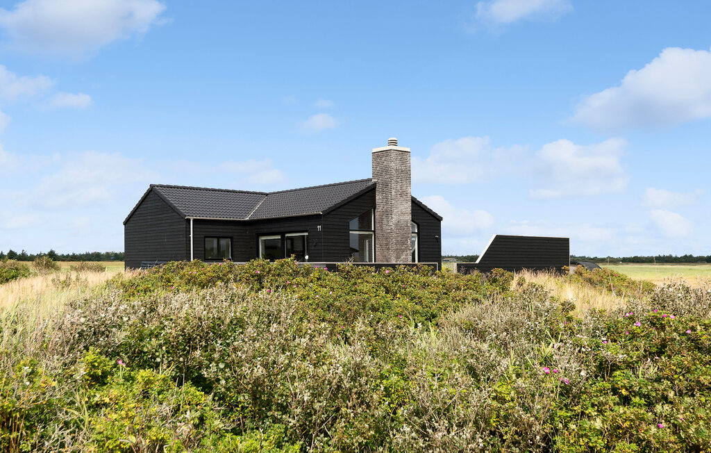 Ferienhaus - Blåvand , Dänemark - P32050 9