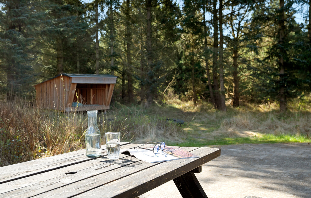 Feriehuse - Blåvand , Danmark - P32993 12