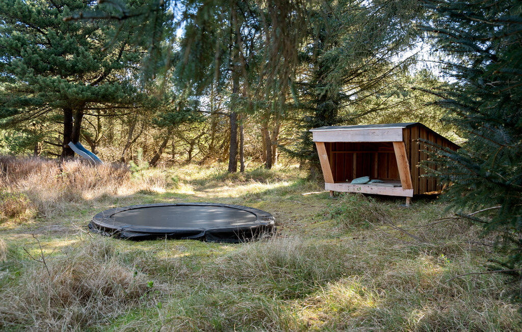 Feriehuse - Blåvand , Danmark - P32993 15