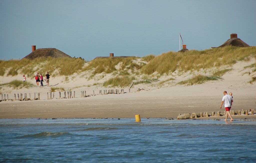 Bild 31 Bild 31