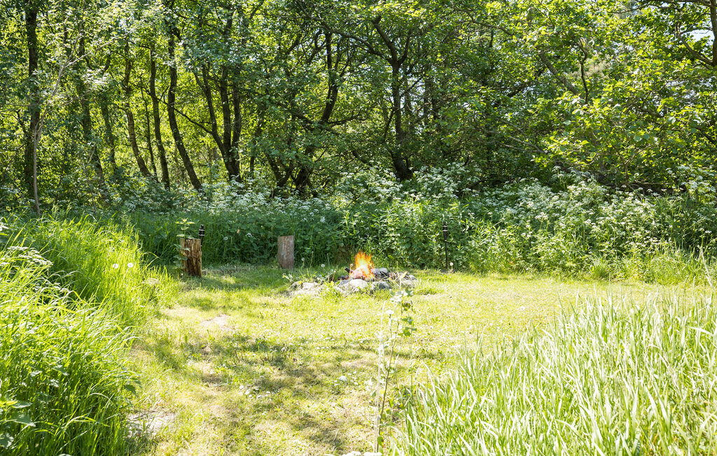 Bild 17