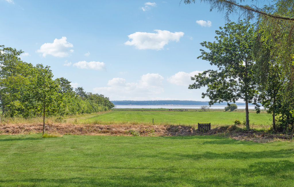 Feriehuse - Blåvand , Danmark - P33011 14
