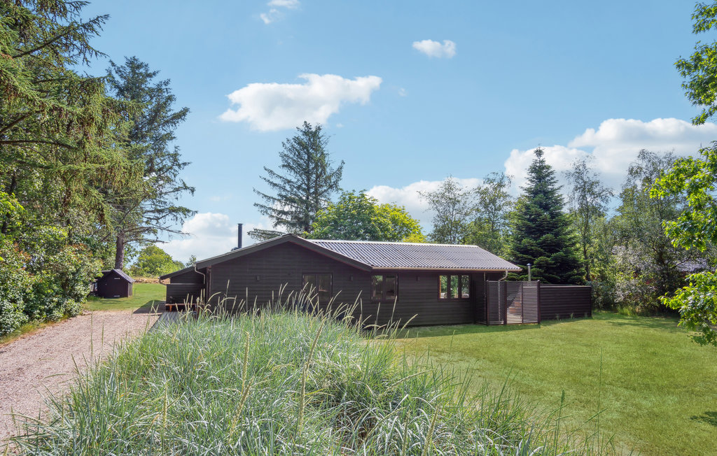 Feriehuse - Blåvand , Danmark - P33011 9