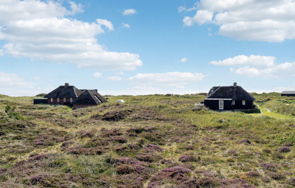 Feriehuse - Blåvand , Danmark - P33027 8