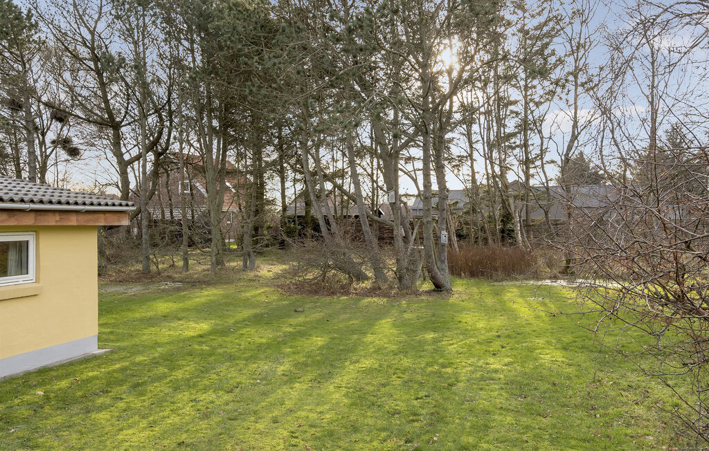 Ferienhaus - Blåvand , Dänemark - P33037 16