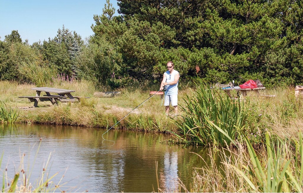 Ferienhaus - Blåvand , Dänemark - P33033 33