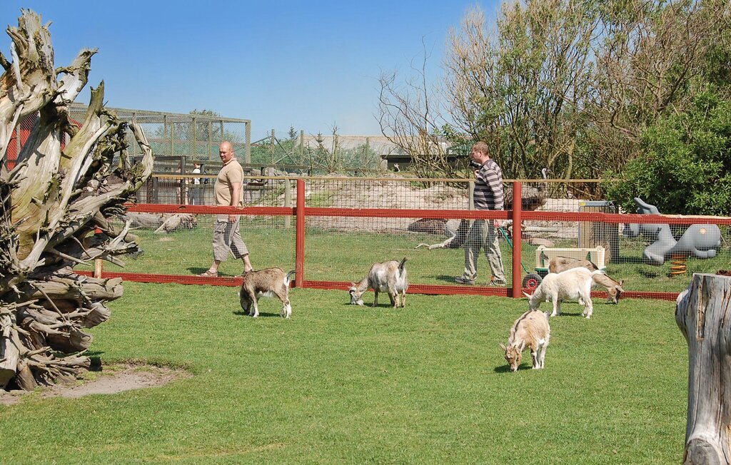 Ferienhaus - Blåvand , Dänemark - P33033 35