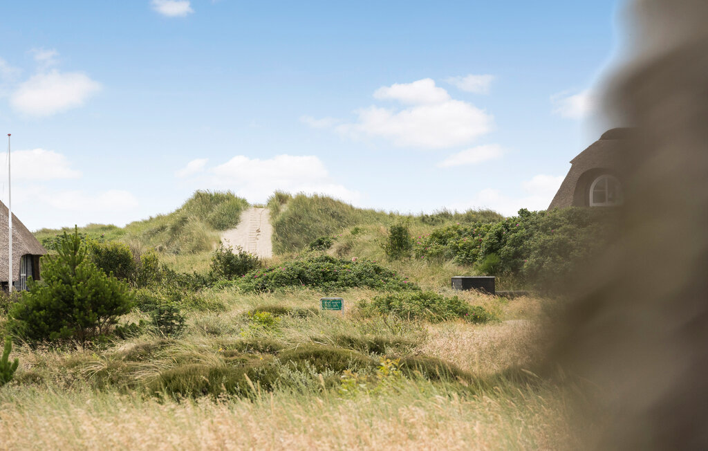 Ferienhaeuser - Blåvand , Dänemark - P33046 28