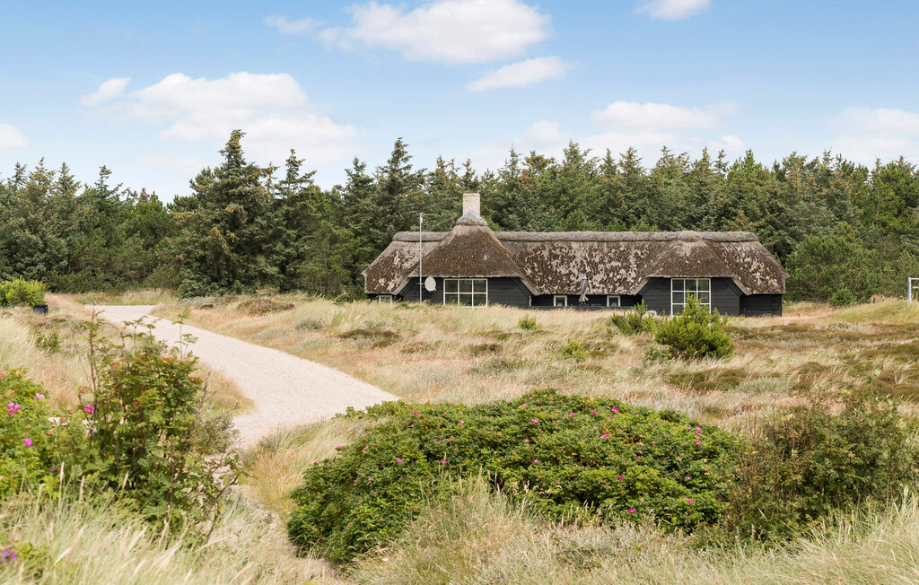 Ferienhaeuser - Blåvand , Dänemark - P33046 12