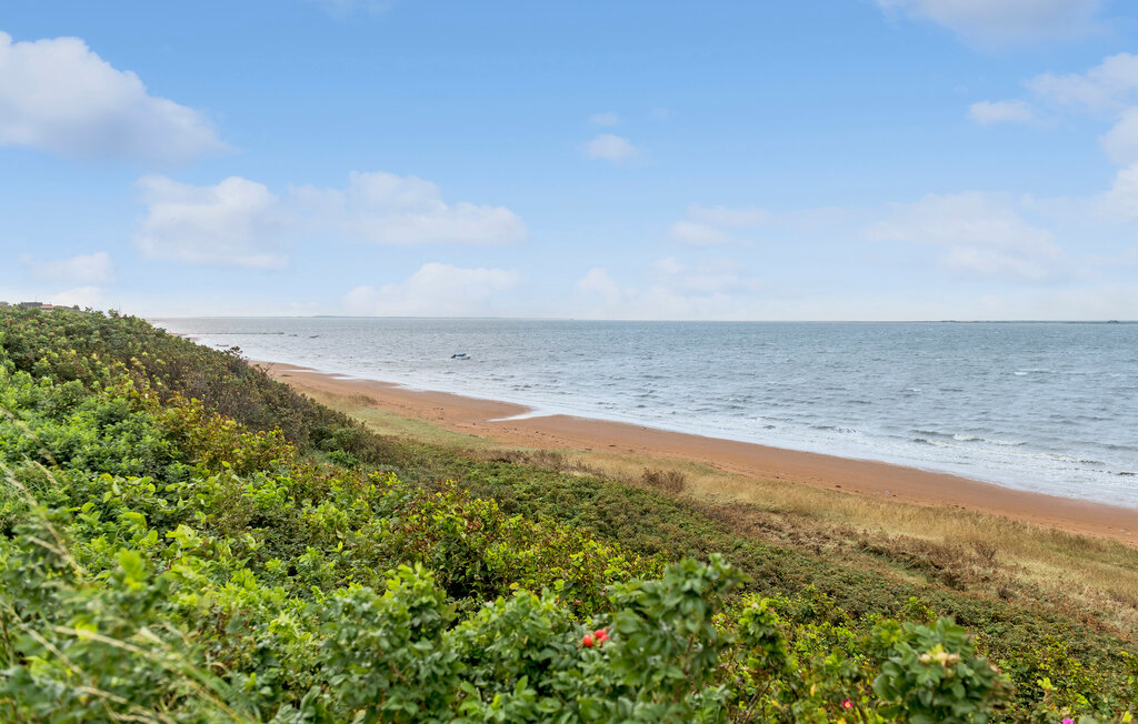 Feriehuse - Sjelborg Strand , Danmark - P33070 13