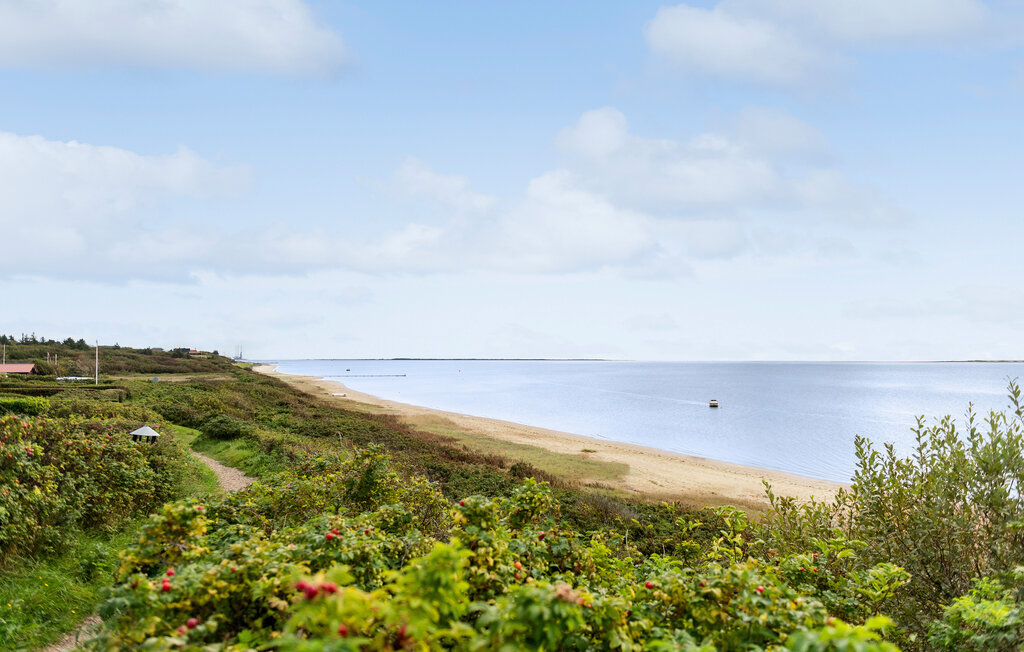 Semesterhus - Sjelborg Strand , Danmark - P33060 9