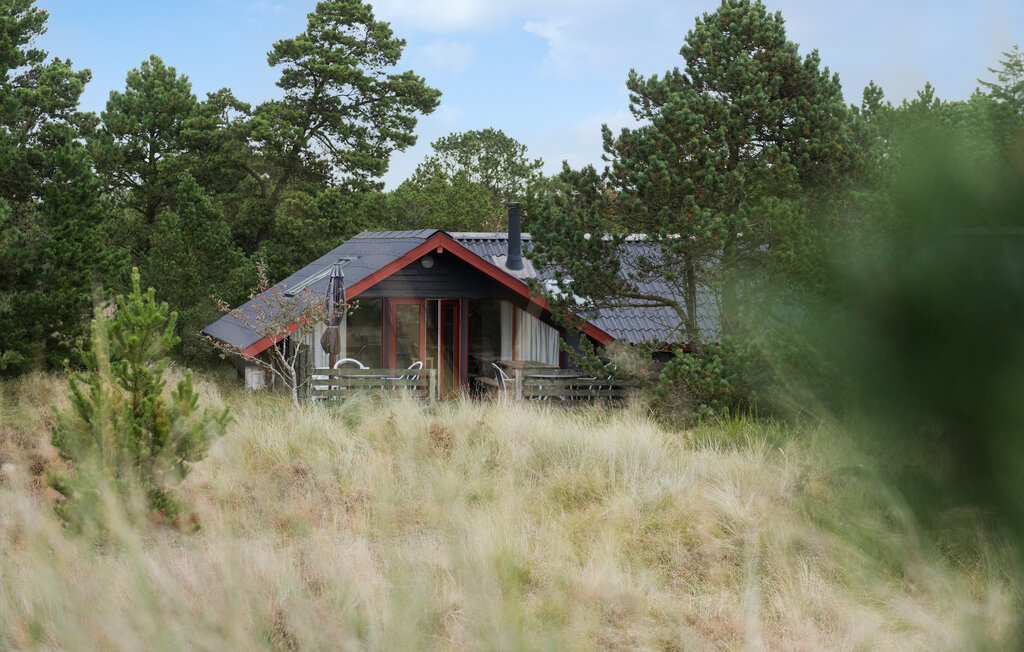 Feriehuse - Hvidbjerg Strand , Danmark - P33100 10