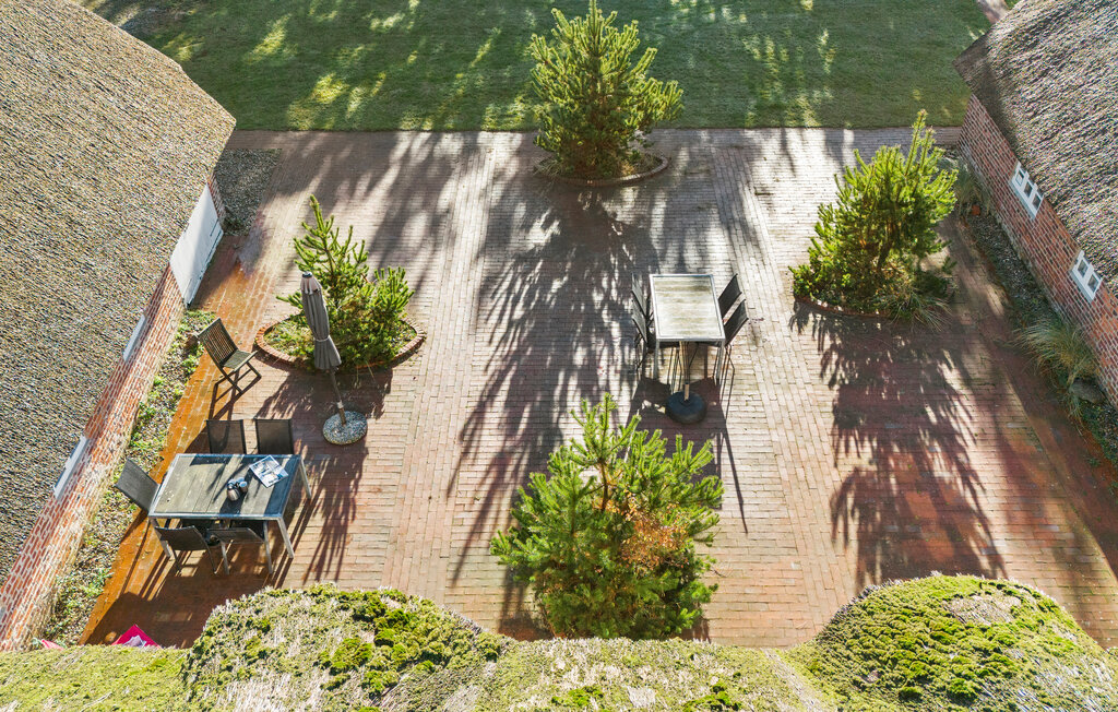 Domy wakacyjne - Blåvand , Dania - P33043 16