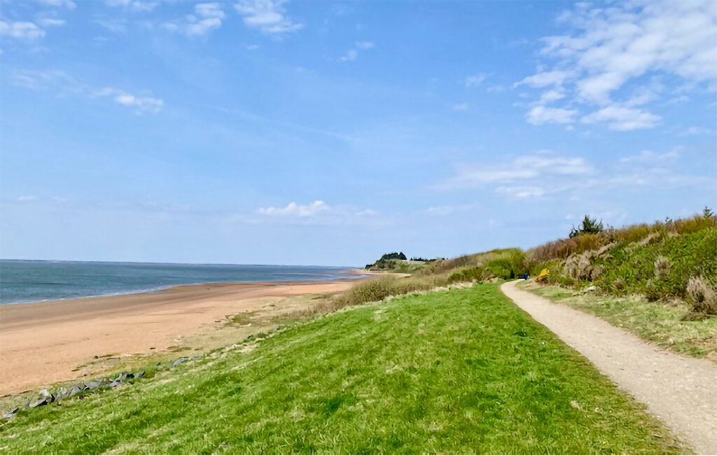 Ferienhaus - Hjerting , Dänemark - P33054 19