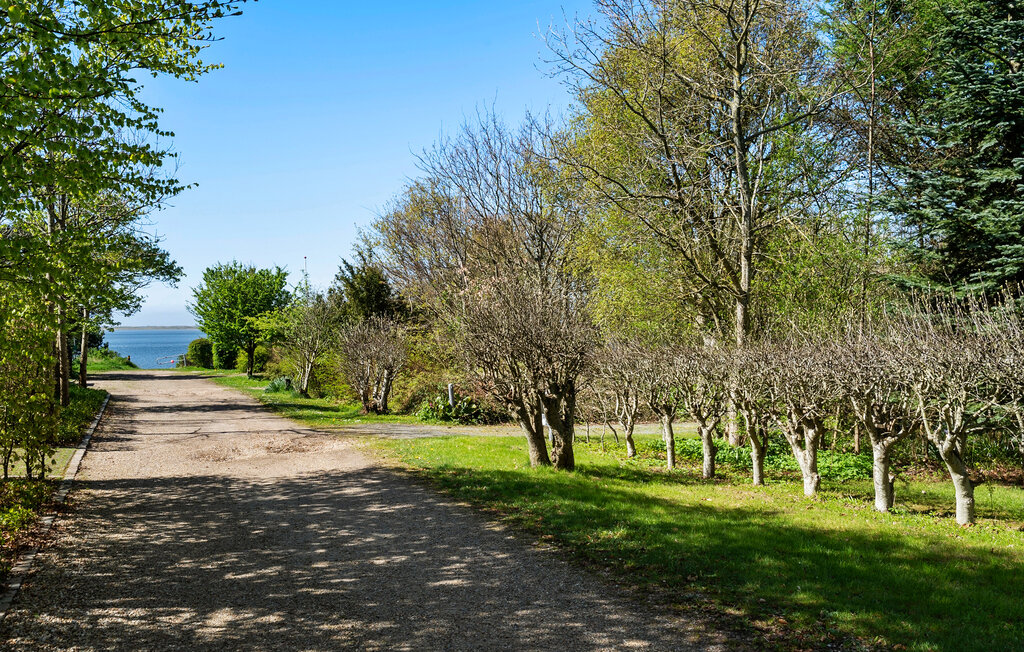 Ferienhaus - Hjerting , Dänemark - P33054 2
