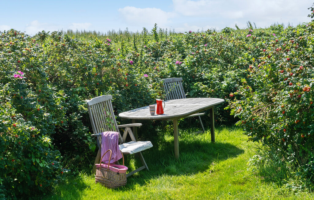 Ferienwohnung - Hjerting , Dänemark - P33056 9