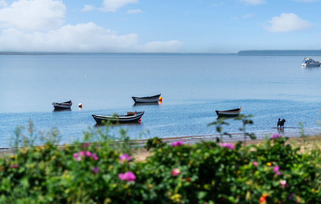 Ferienwohnung - Hjerting , Dänemark - P33056 3