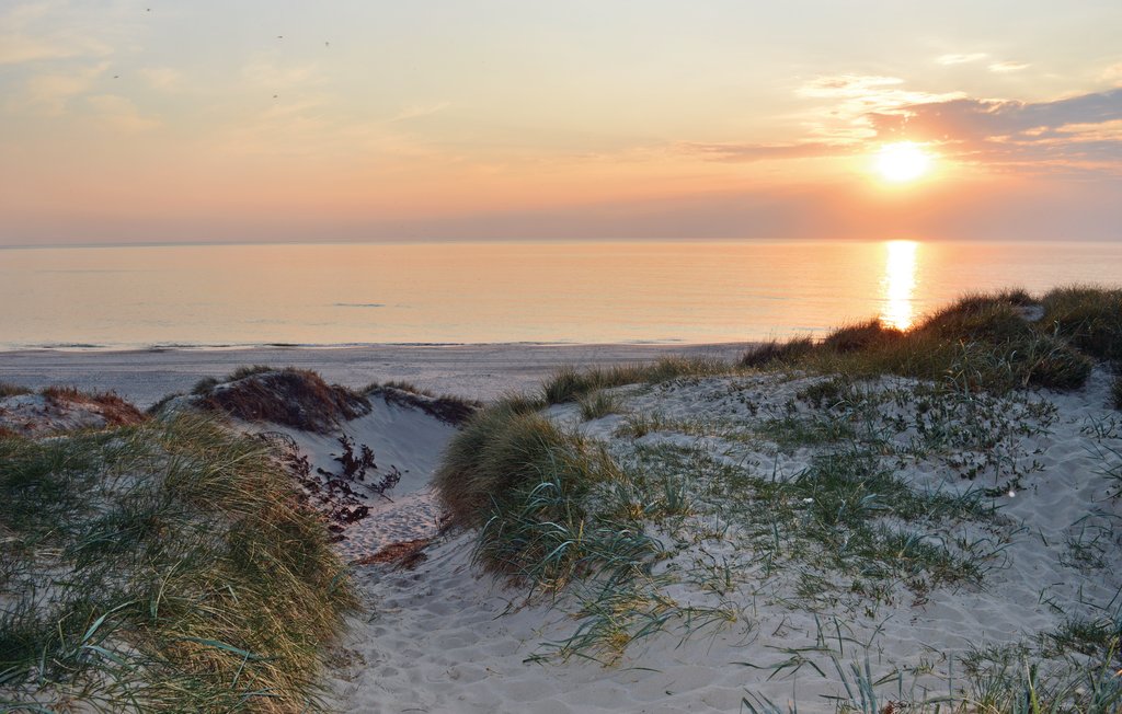 Semesterhus - Henne Strand , Danmark - P42177 5