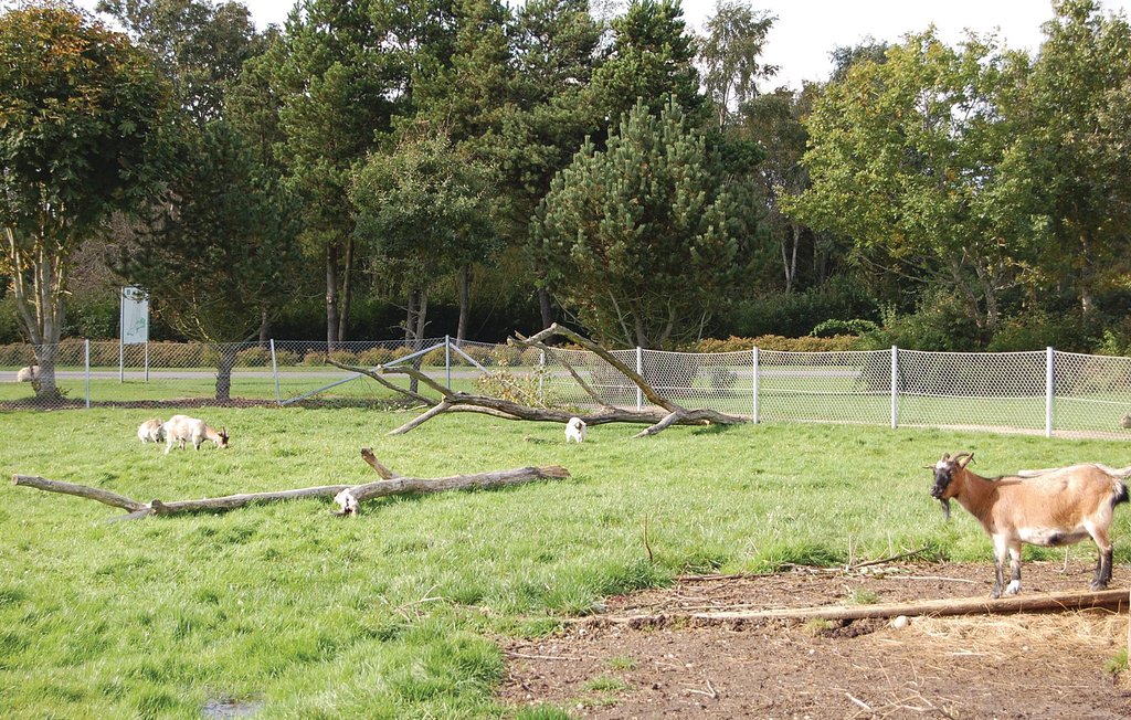 Feriehuse - Jegum Ferieland , Danmark - P42027 33