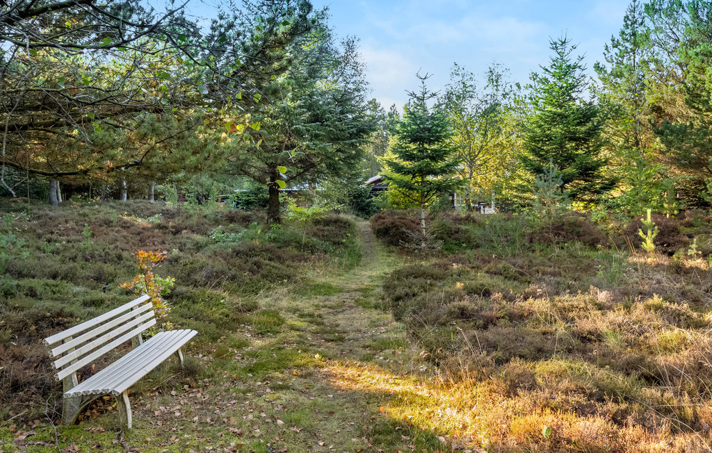 Feriehuse - Henne , Danmark - P42490 12